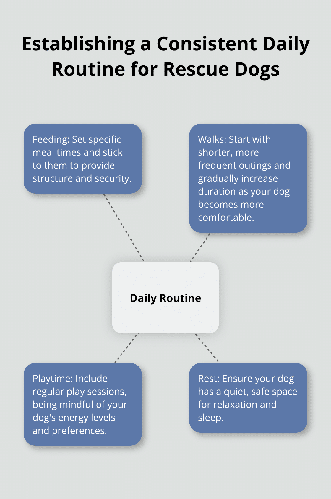 Hub and spoke chart showing key elements of a consistent daily routine for rescue dogs: feeding, walks, playtime, and rest - rescue dog adjusting to new home
