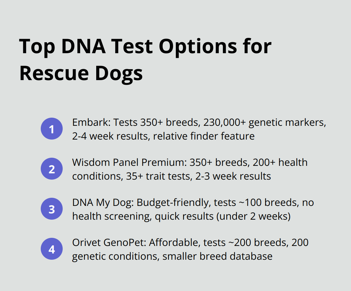 An ordered list comparing four DNA test options for rescue dogs: Embark, Wisdom Panel Premium, DNA My Dog, and Orivet GenoPet, highlighting their key features and differences. - rescue dog dna test