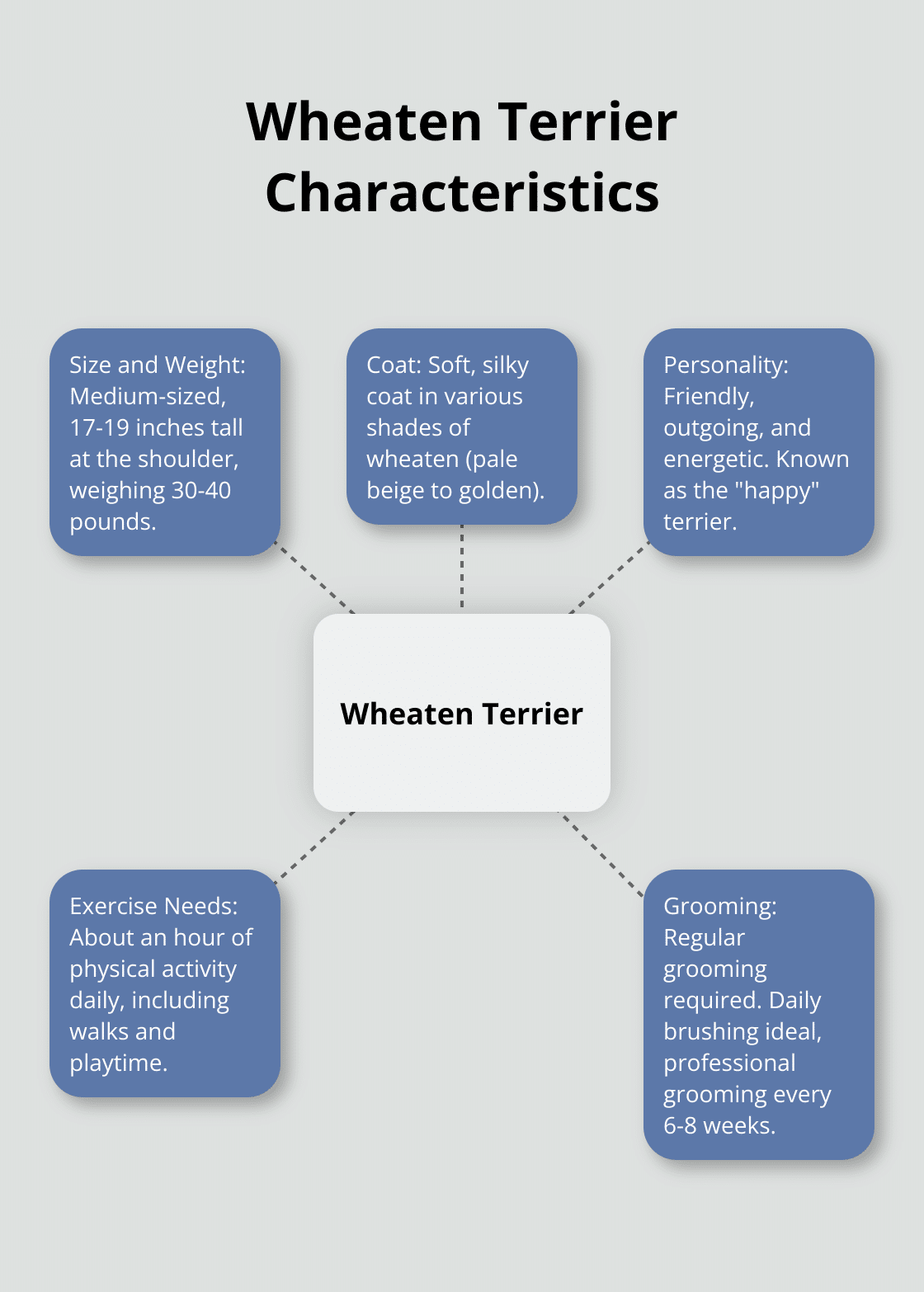 A hub and spoke chart showing key characteristics of Wheaten Terriers: size, weight, coat, personality, exercise needs, and grooming requirements.