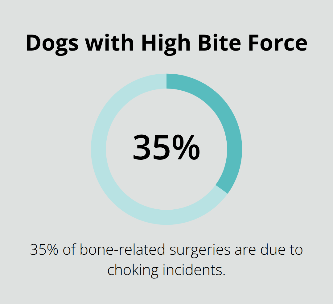 Percentage chart showing that dogs like Rottweilers and German Shepherds have an average bite force of 235 psi - dog bone safety