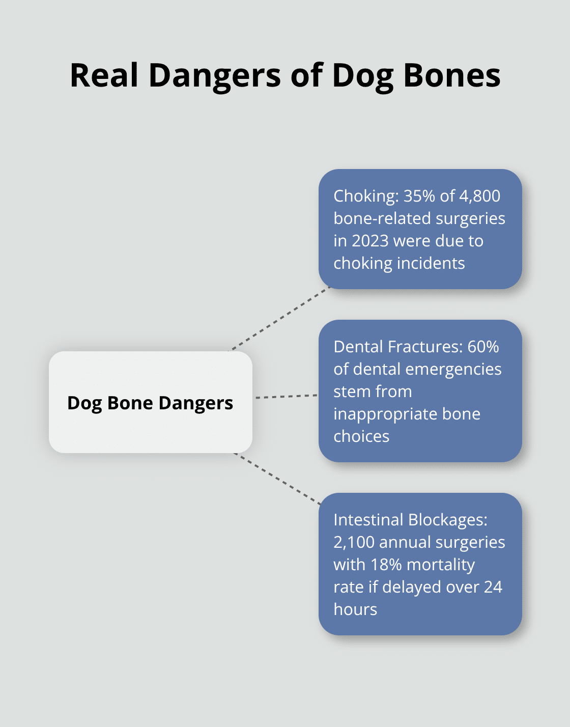 Hub and spoke chart illustrating the main dangers of dog bones: choking, dental fractures, and intestinal blockages - dog bone safety