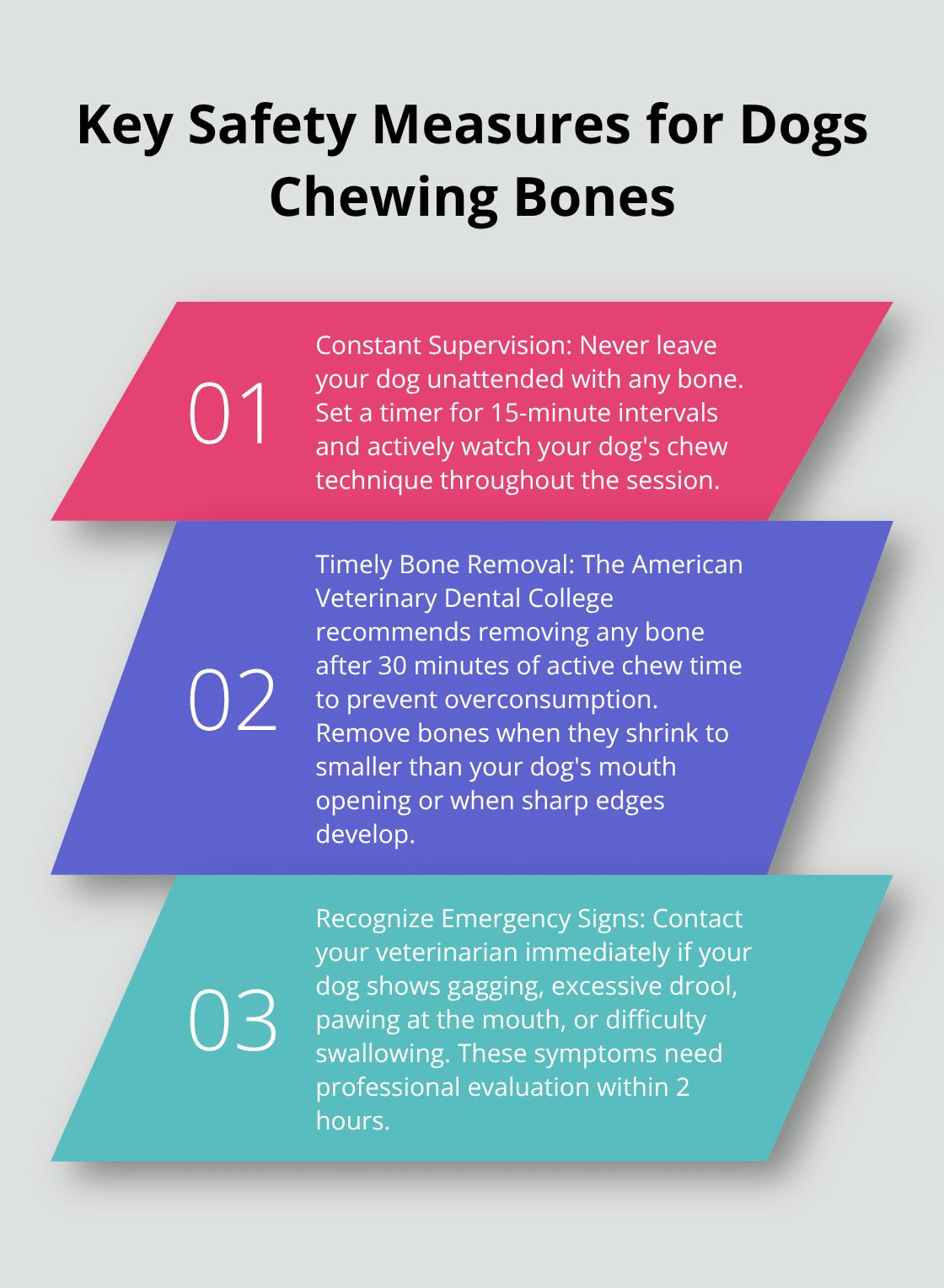 Ordered list chart showing three key safety measures for dogs chewing bones: constant supervision, timely bone removal, and recognizing emergency signs