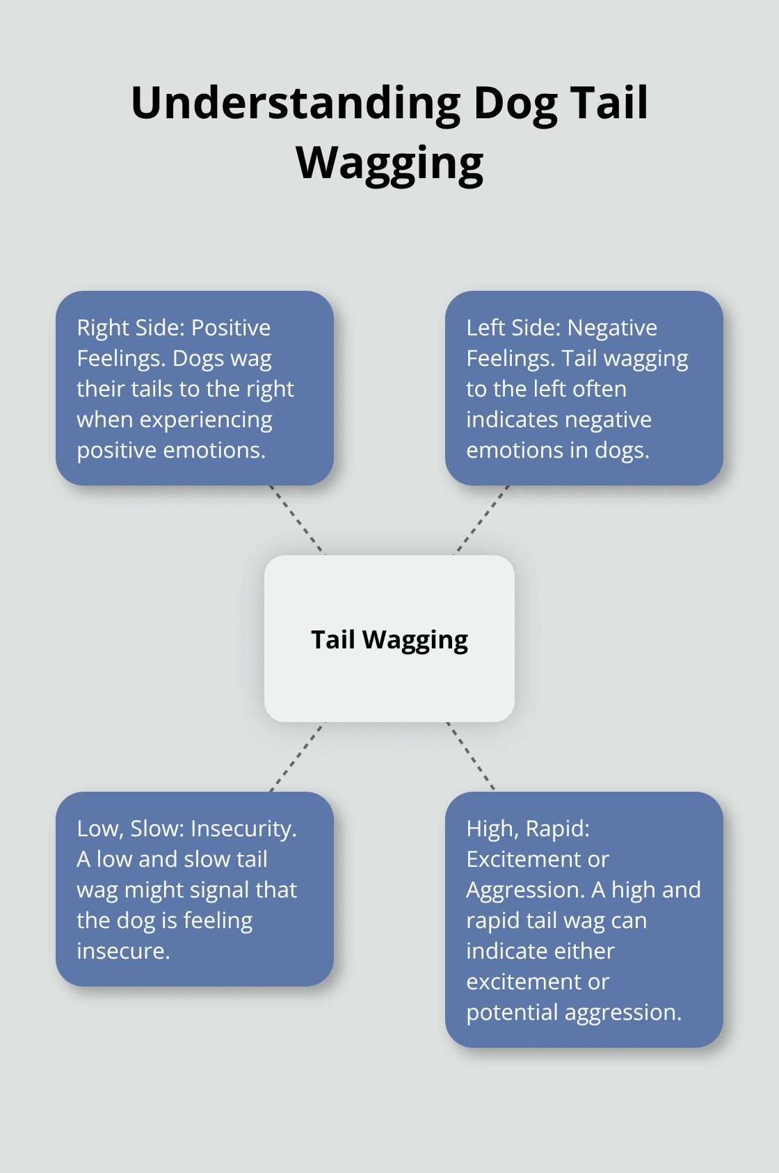A hub and spoke chart showing different meanings of dog tail wagging. The central hub reads 'Tail Wagging' with spokes for 'Right Side: Positive Feelings', 'Left Side: Negative Feelings', 'Low, Slow: Insecurity', and 'High, Rapid: Excitement or Aggression'. - dog habits and what they mean