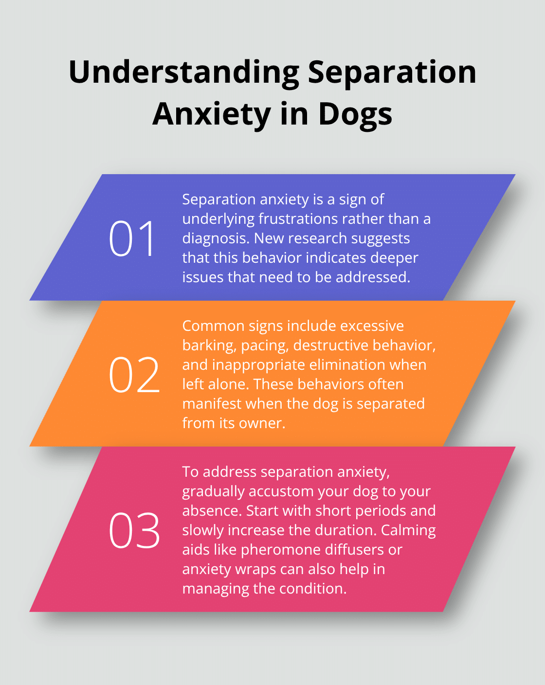 An ordered list chart showing three key points about separation anxiety in dogs: it's a sign of underlying frustrations, common signs, and gradual accustoming techniques. - dog habits and what they mean