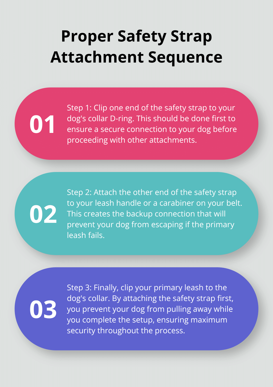 Ordered list showing the correct sequence for attaching a dog lead safety strap: attach to collar, then to leash, and finally connect primary leash.