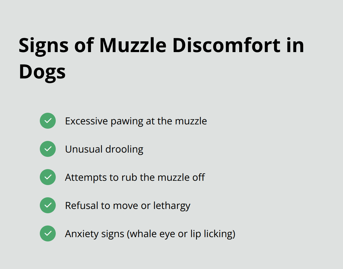 A checkmark list showing five signs of discomfort in dogs wearing muzzles