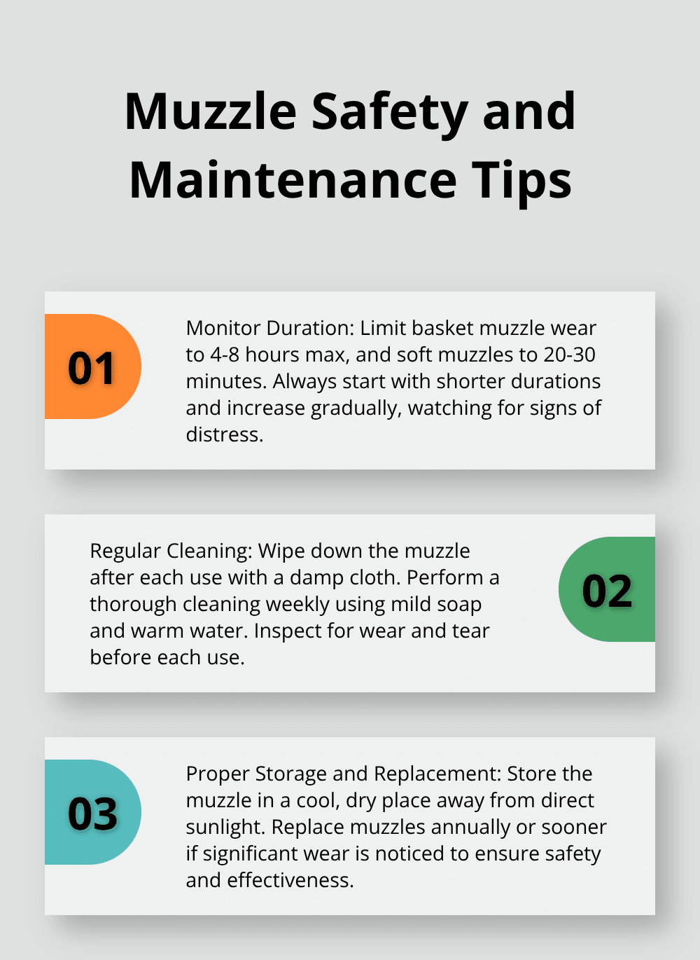 An ordered list chart showing three key tips for dog muzzle safety and maintenance