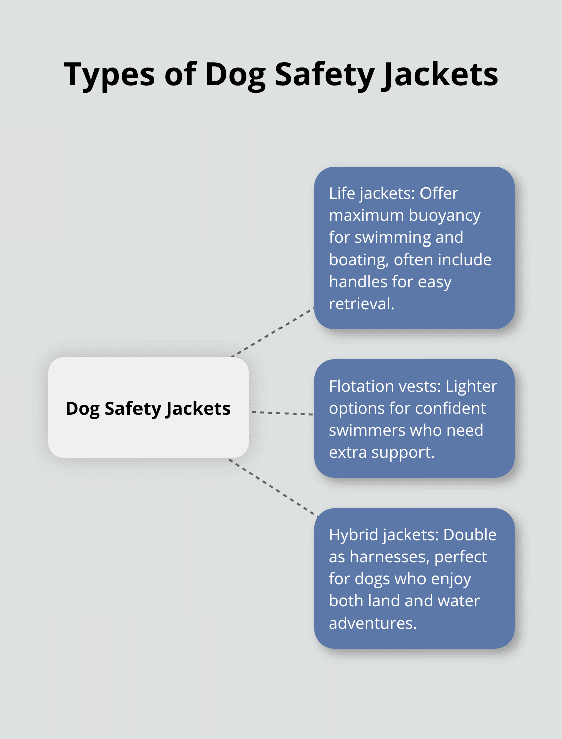 Hub and spoke chart showing three types of dog safety jackets: life jackets, flotation vests, and hybrid jackets