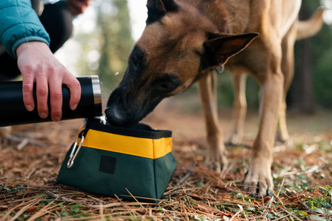 Collapsible Travel Water Bowl for dogs from P.L.A.Y.’s Landscape Series