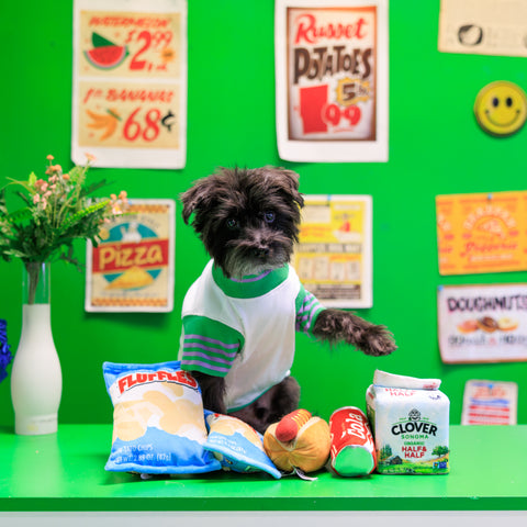 Snack Attack plush dog toy collection with crinkle and squeaker food toys