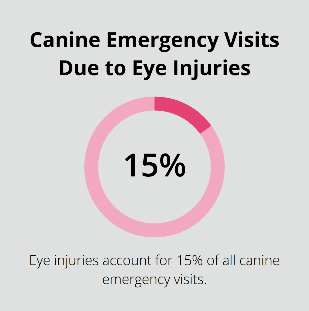 Pie chart showing 15% of canine emergency visits are due to eye injuries
