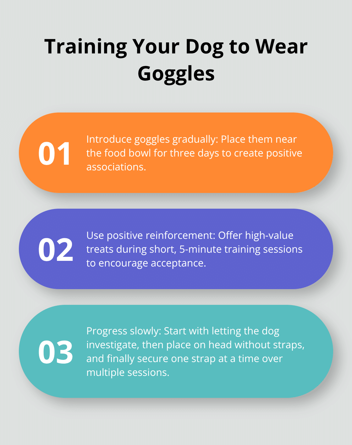 Ordered list showing three steps to train dogs to wear goggles - dog safety glasses