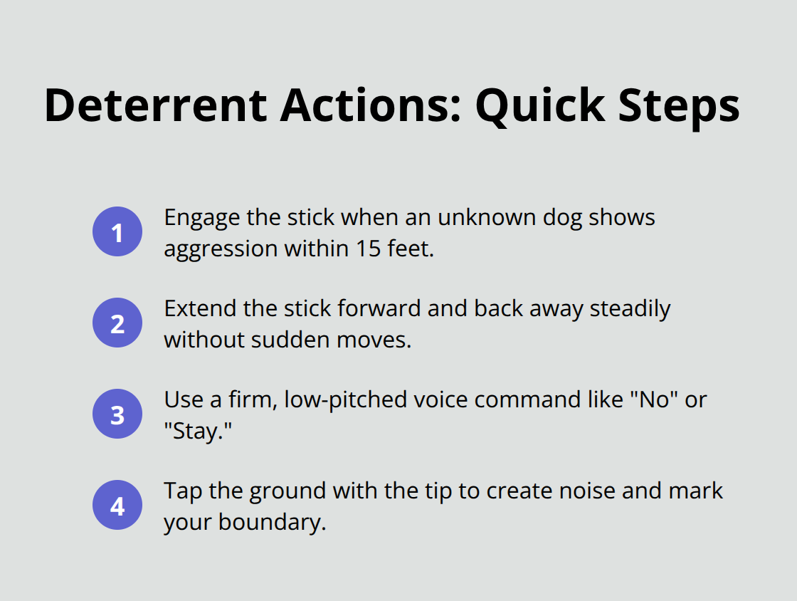 Compact ordered list of step-by-step deterrent actions when an aggressive dog approaches.