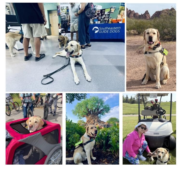 DONALD COURTESY: Teresa Galgano