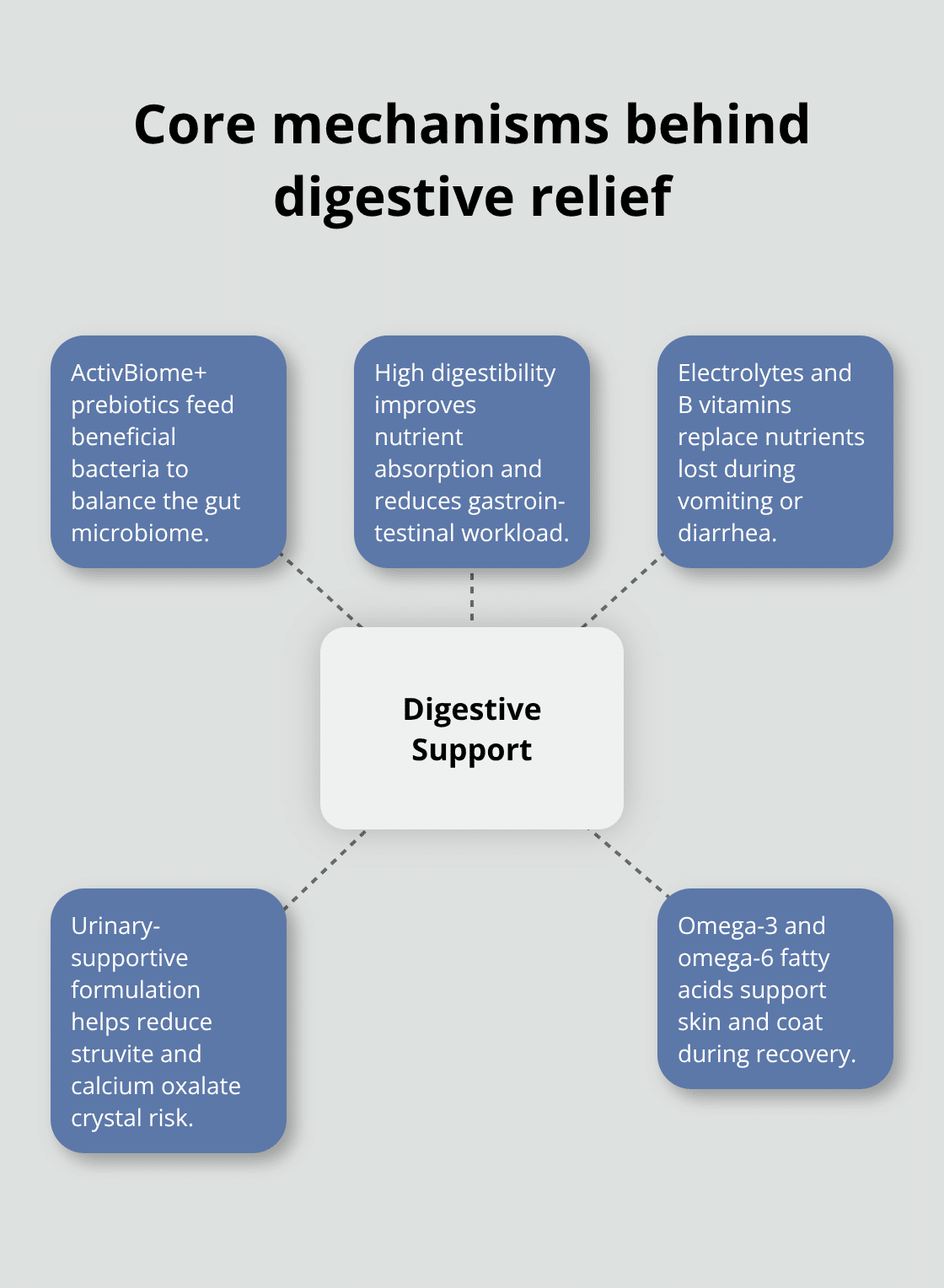 Hub-and-spoke chart of Hill's Digestive Care benefits