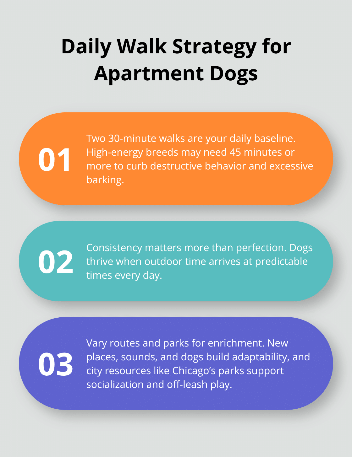 Three core principles for structuring daily walks in U.S. apartments