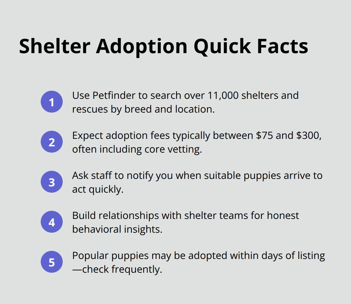 Compact list of key facts for adopting from shelters in the United States