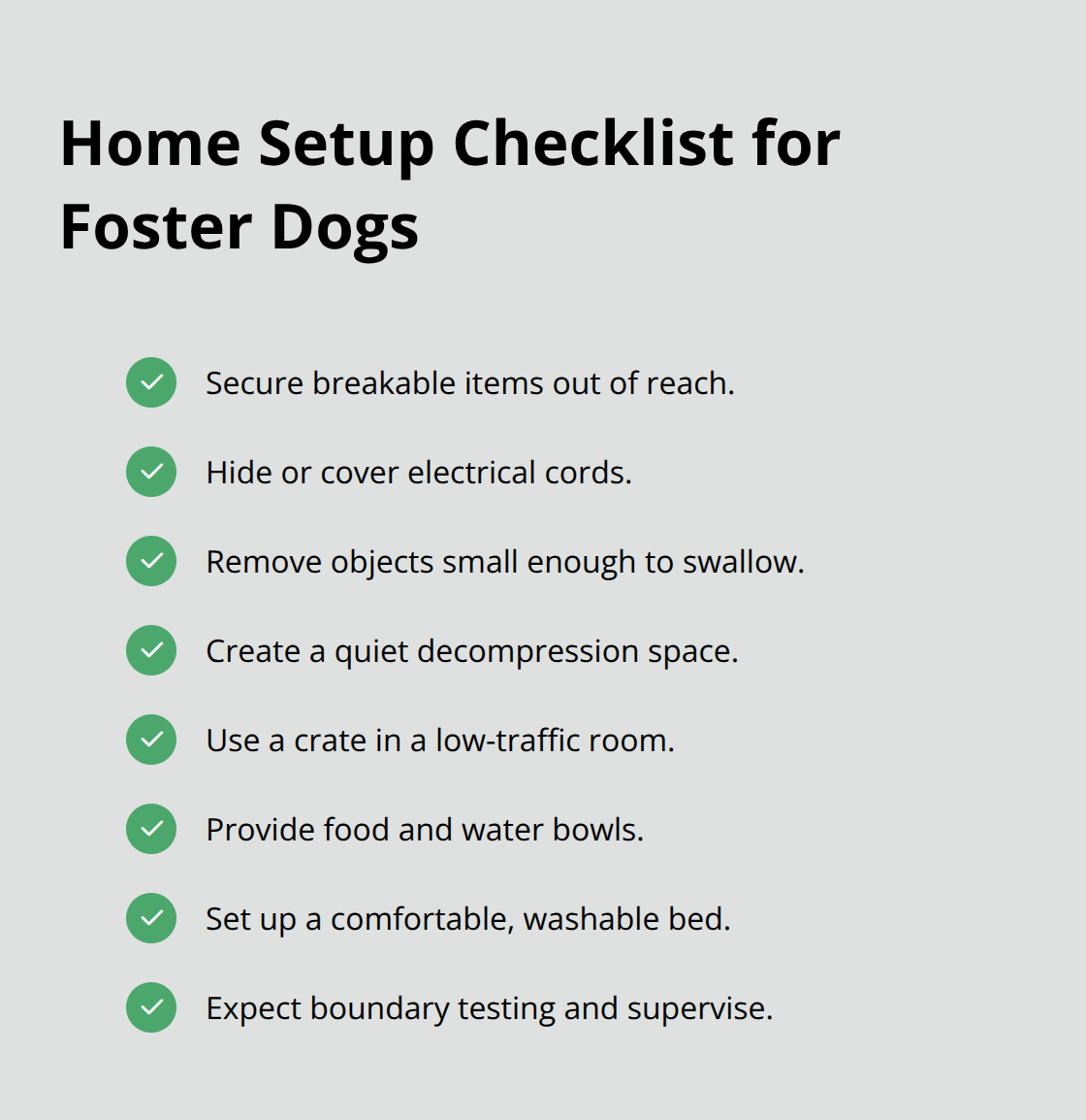 Essential steps to prepare your home for a foster dog in the United States - how to foster dogs