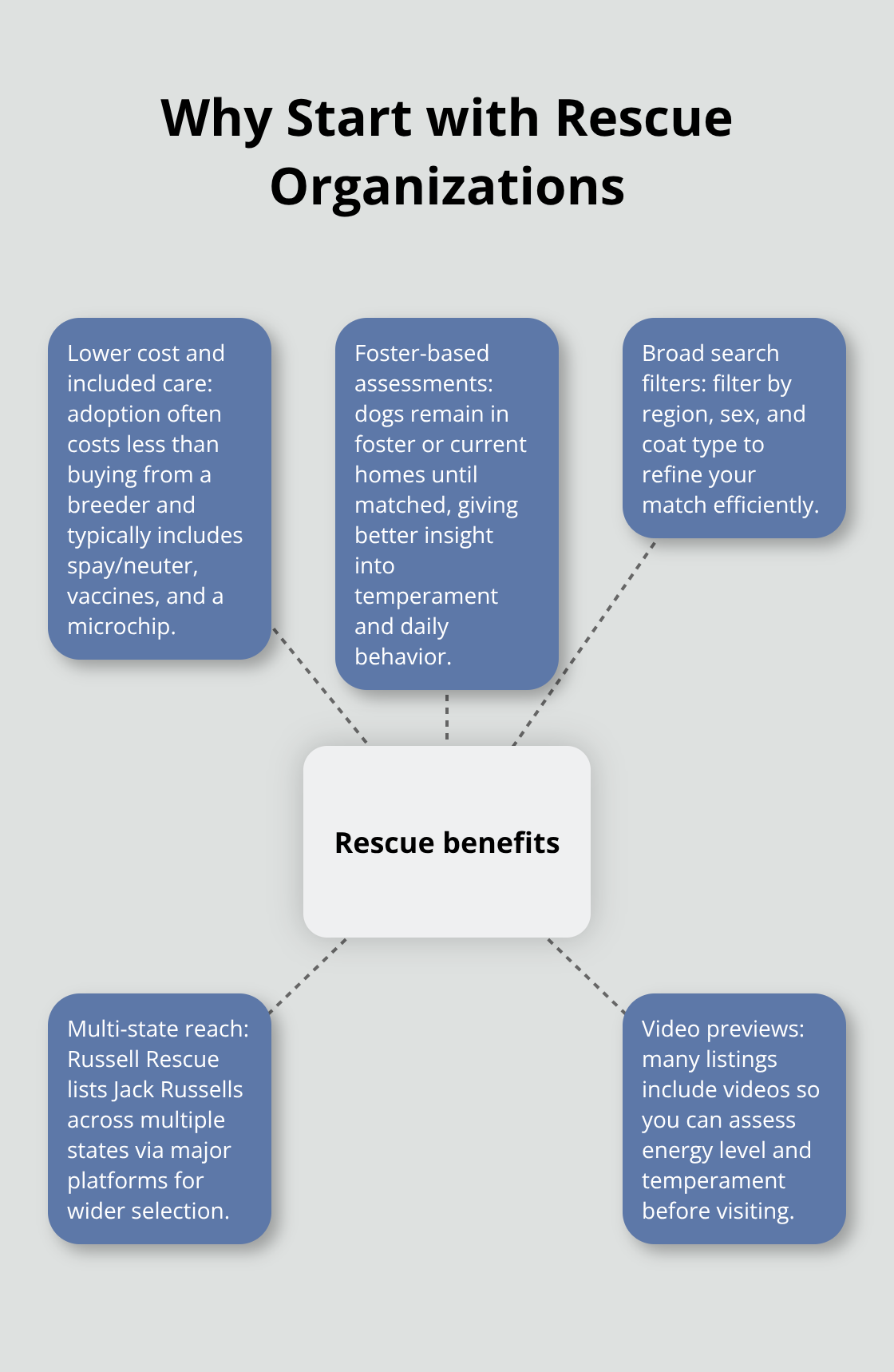 Key advantages of adopting through rescue organizations for Jack Russell Terriers in the U.S. - jack russell terrier puppy adoption