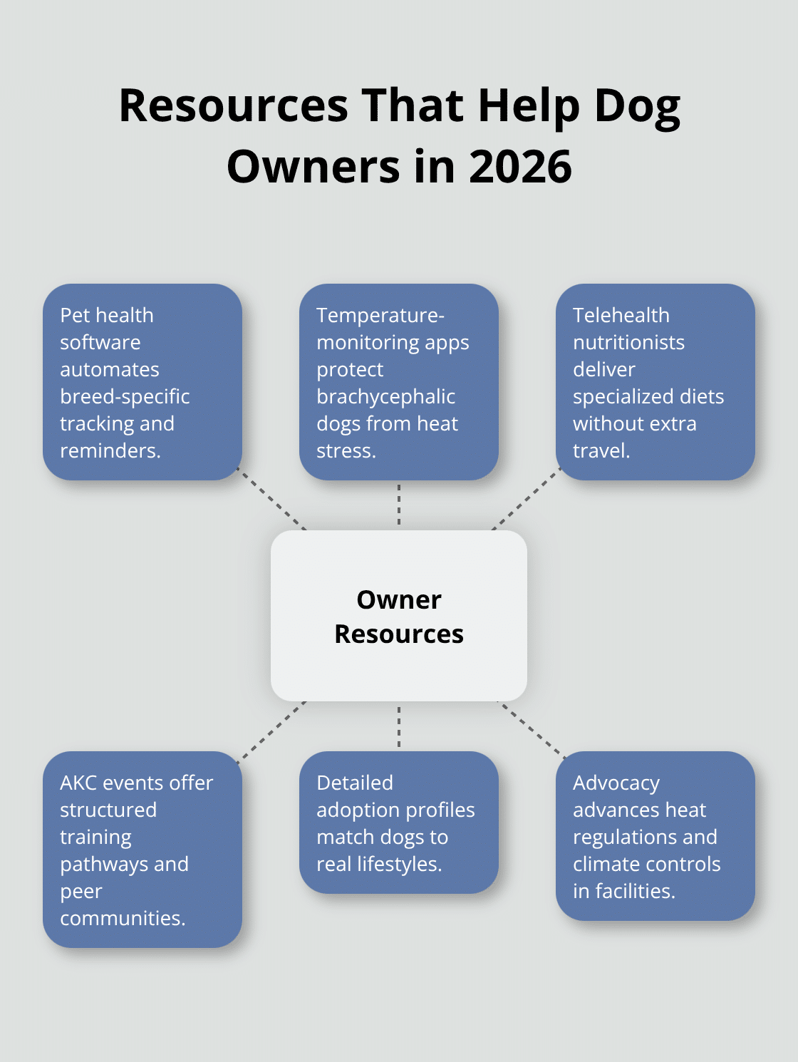 Hub-and-spoke view of key resources supporting U.S. dog owners.