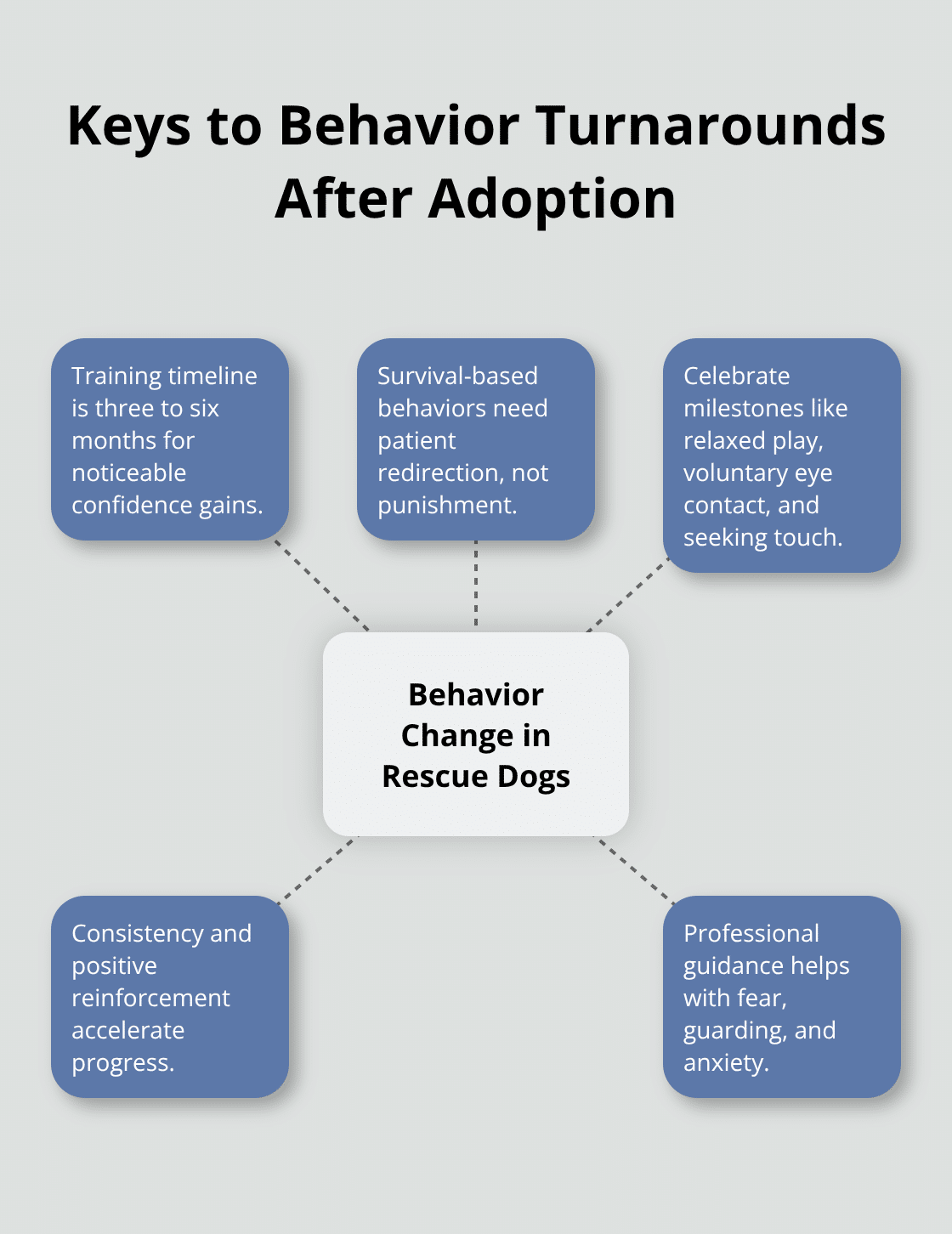 Hub-and-spoke diagram outlining core elements that drive behavior change in rescue dogs. - dog rescue success stories