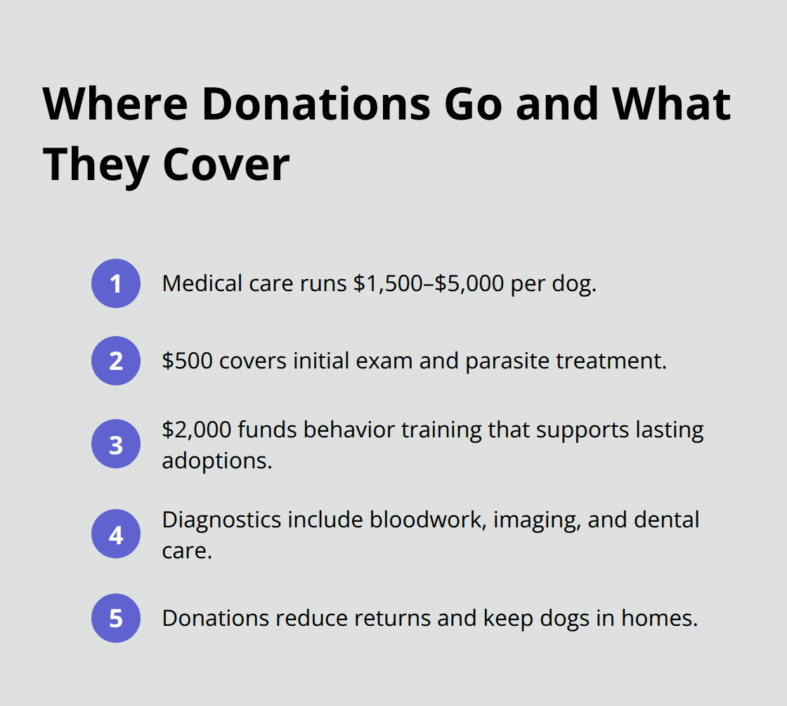 Compact list summarizing how donations directly fund medical and behavioral care for rescue dogs.