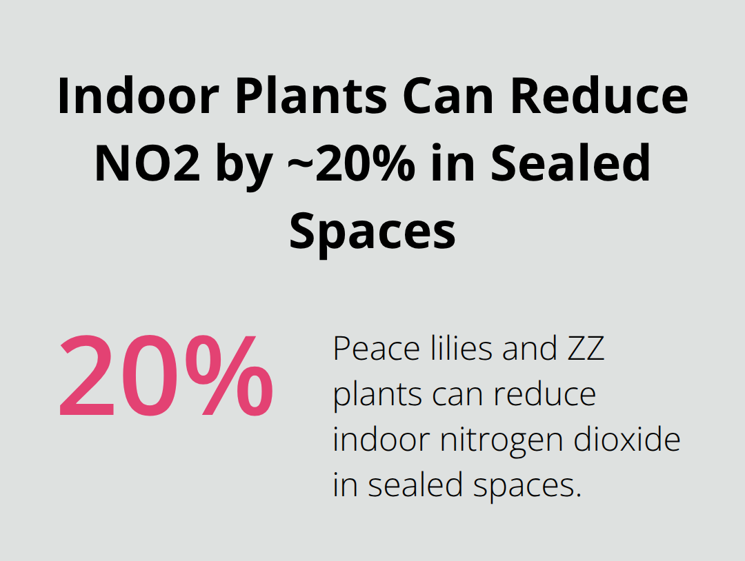 Percentage reduction of indoor nitrogen dioxide using common houseplants in sealed conditions