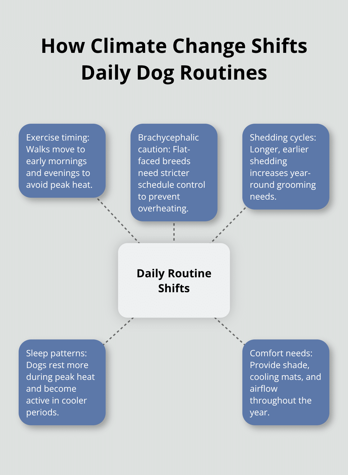 Hub-and-spoke visualization of key routine changes dogs experience as temperatures rise - canine climate impact news