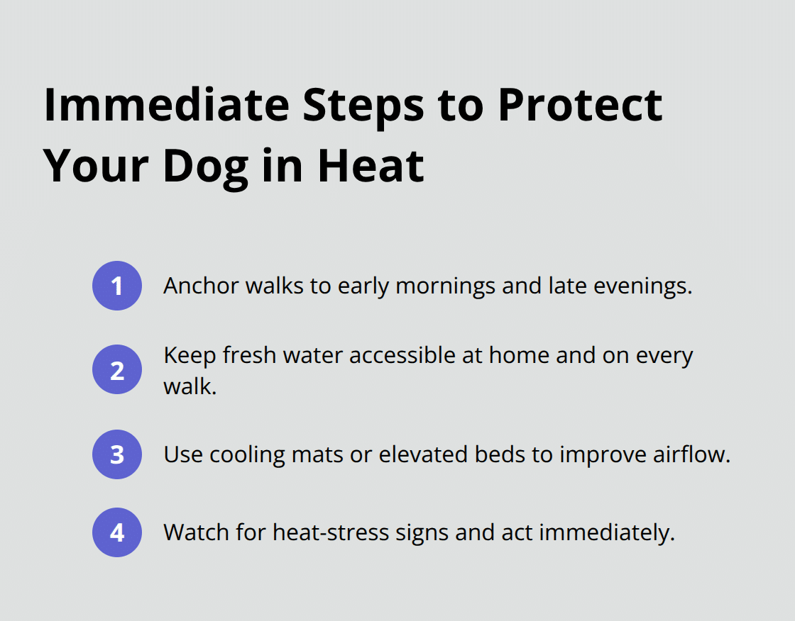 Compact checklist of priority actions to keep dogs safe during hot weather - canine climate impact news