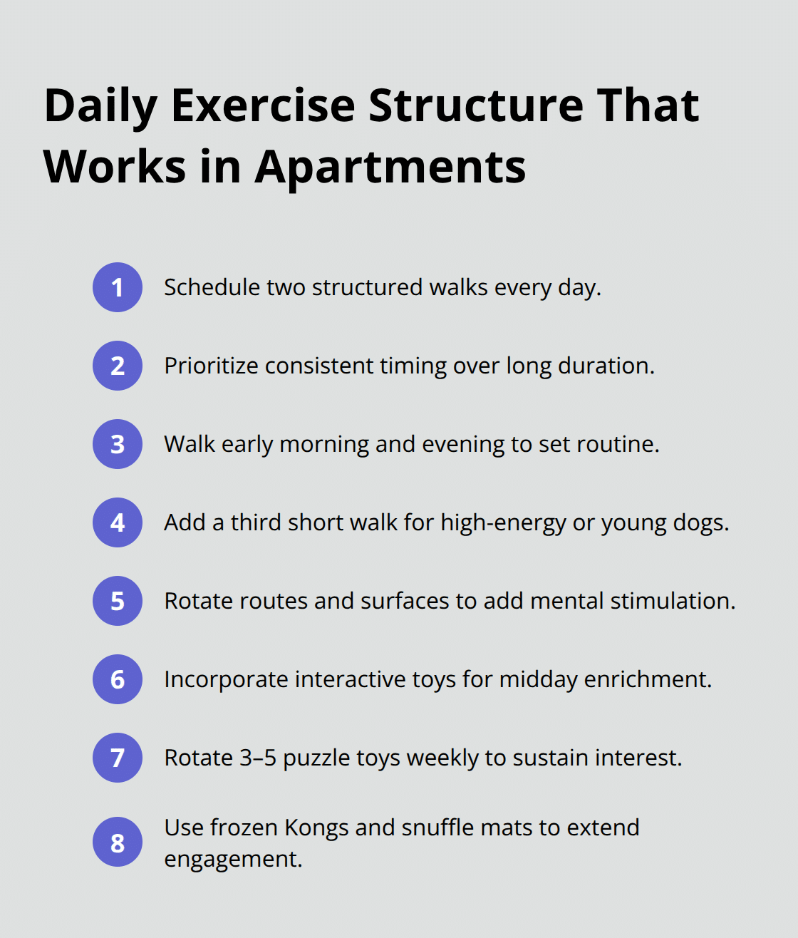 Compact list of walk and enrichment strategies for apartment dogs - dog friendly apartment tips