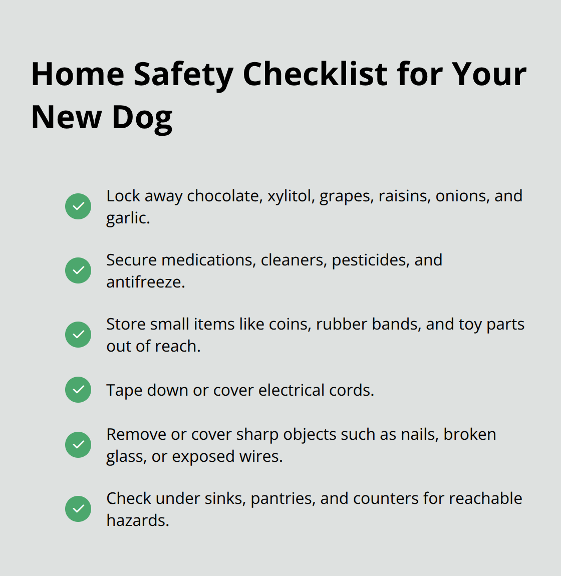 Checklist of key household safety steps to protect a newly adopted dog.
