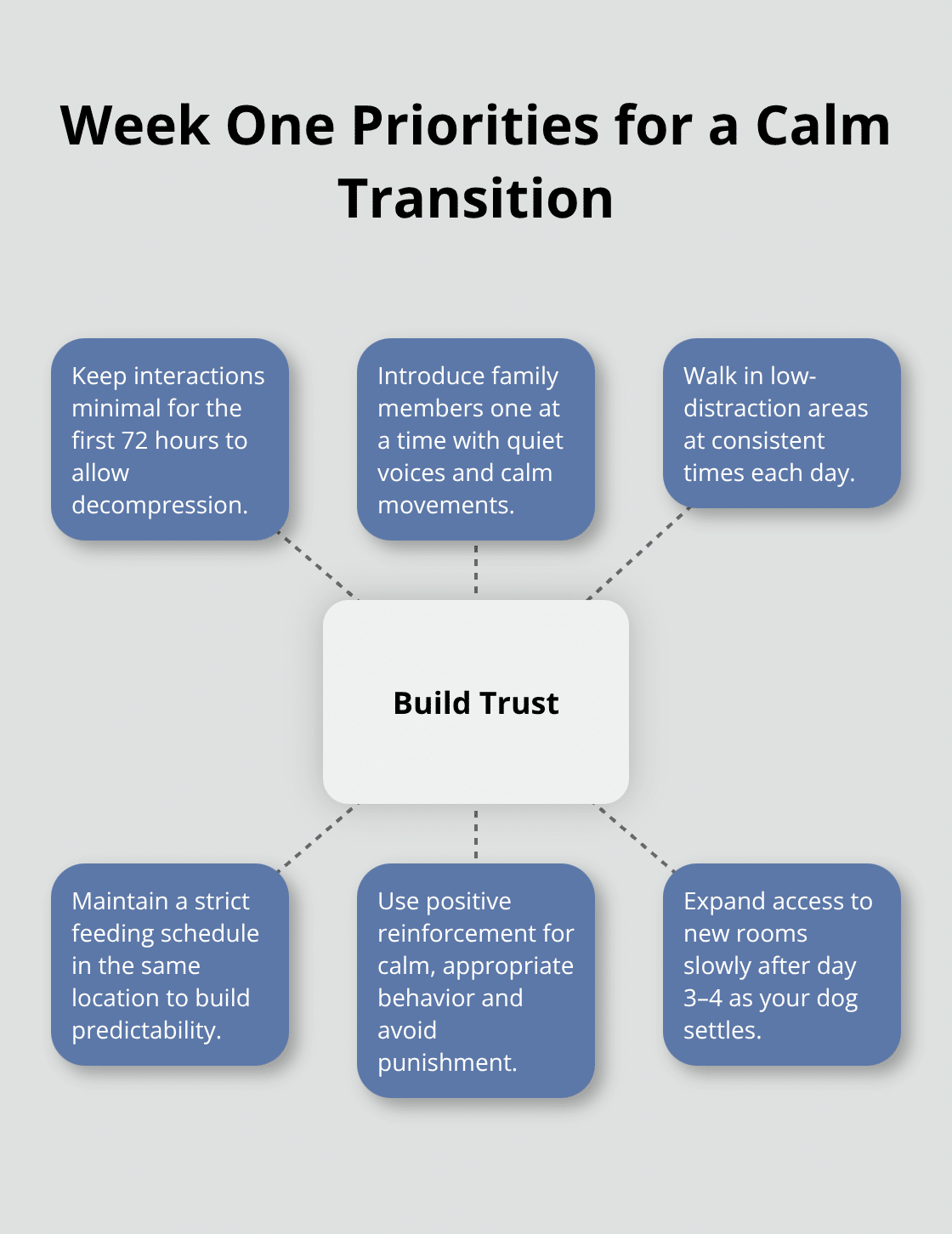 Hub-and-spoke diagram showing the top priorities to build trust during a dog’s first week at home. - home acclimation plan dogs