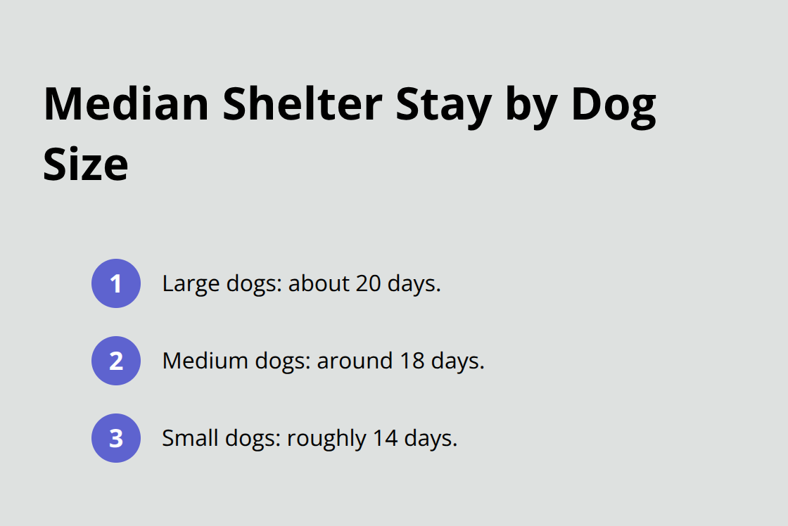 Comparison of median shelter length of stay for large, medium, and small dogs in the U.S.