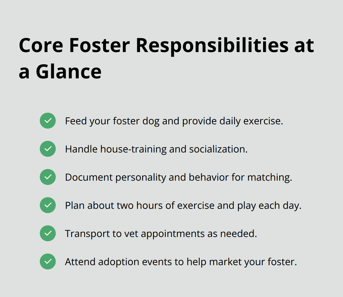 Checklist of daily foster care responsibilities for U.S. dog foster parents. - how to foster dogs