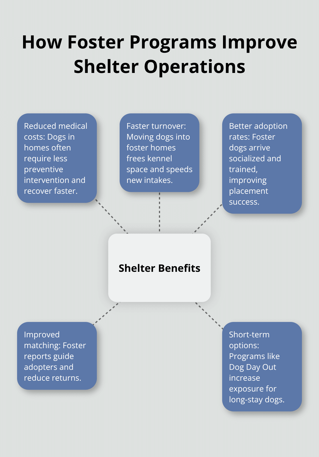 Hub-and-spoke showing key operational benefits shelters gain from foster programs in the United States. - how to foster dogs