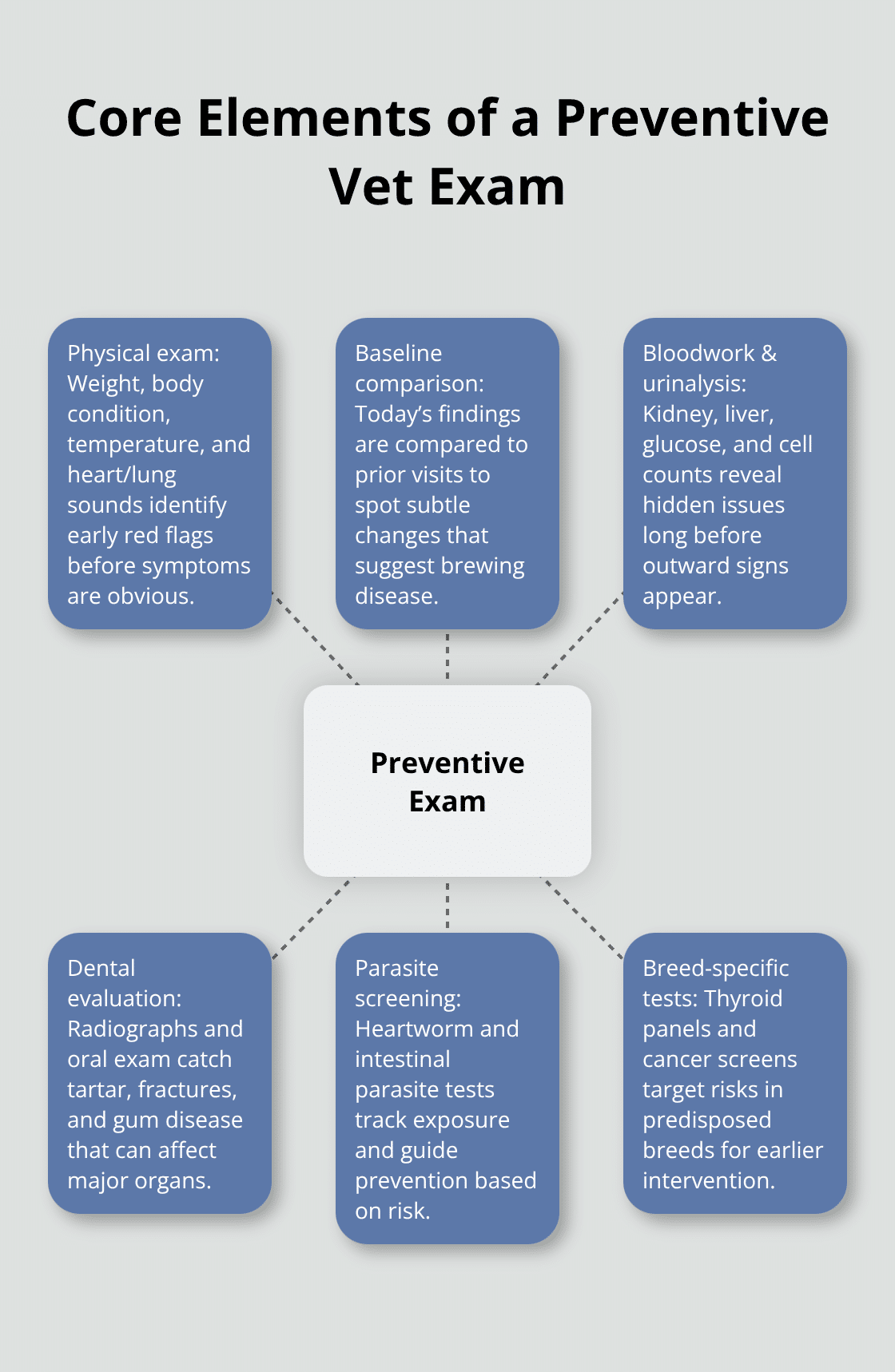 Hub-and-spoke diagram showing the key components of a preventive veterinary examination for dogs in the United States.