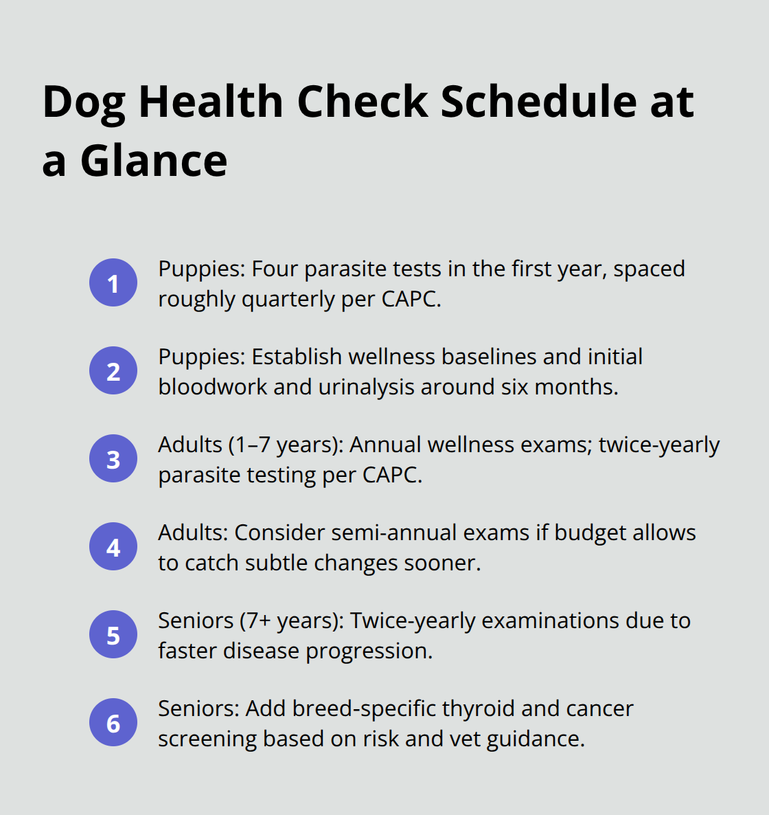 Compact checklist of recommended wellness visit and testing cadence for puppies, adult dogs, and seniors in the U.S. - preventive health checks dogs