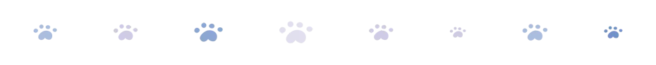 divider cat paws oct 2024