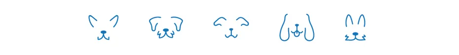 dogster face divider