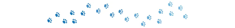 dogster paw divider