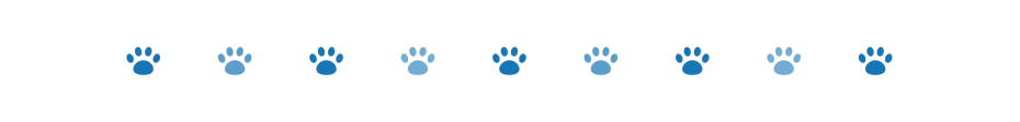 divider dog paws 3 oct 2024